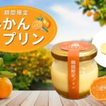 【6月限定】みかんプリン販売